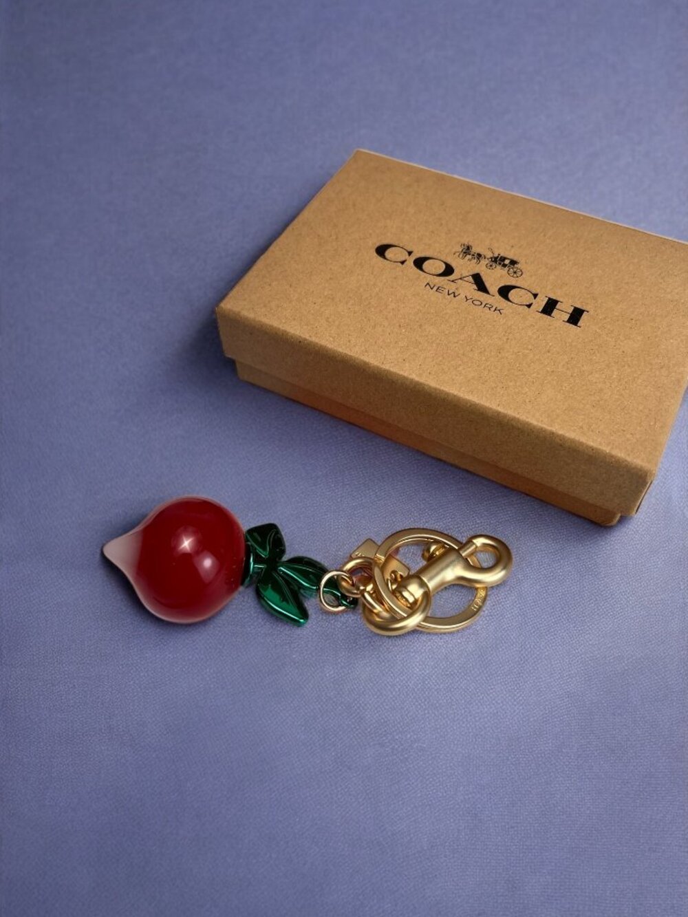 🌸Coach Red and Green Keychain